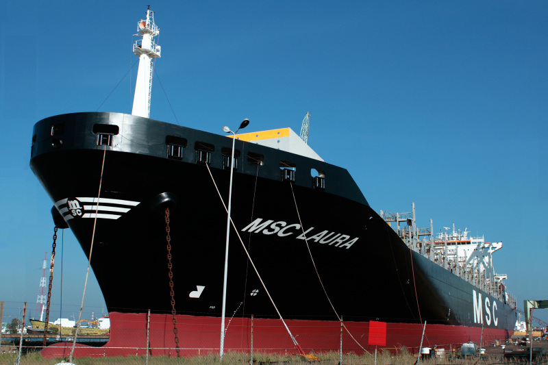 MSC LAURA