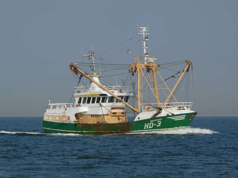 NIEUWEDIEP