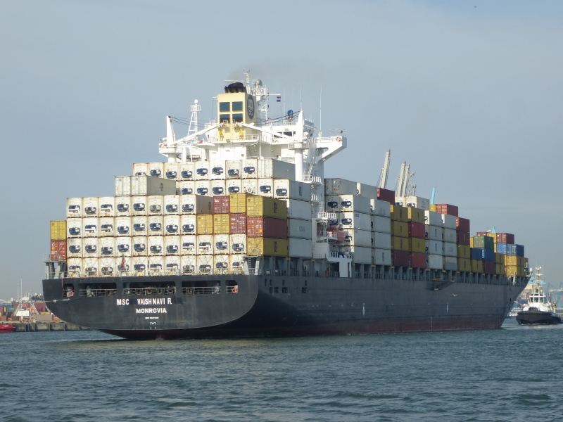 MSC VAISHNAVI R.