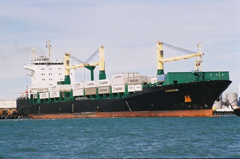 MSC NILA II - Container / Feeder 3