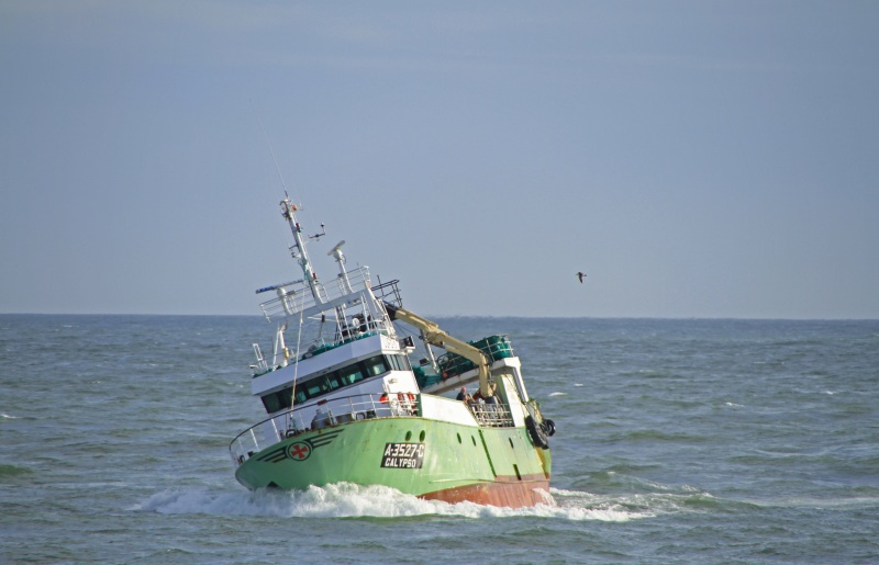 CALYPSO