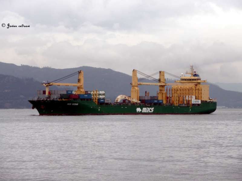 MSC CEDAR II