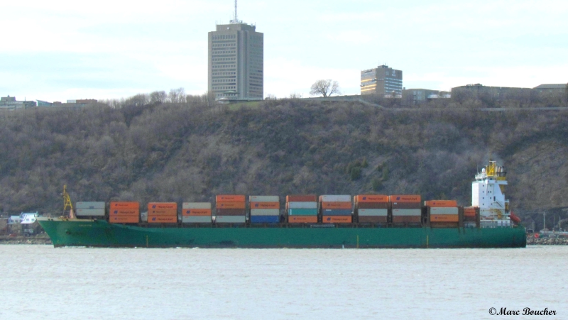 MSC COLETTE III