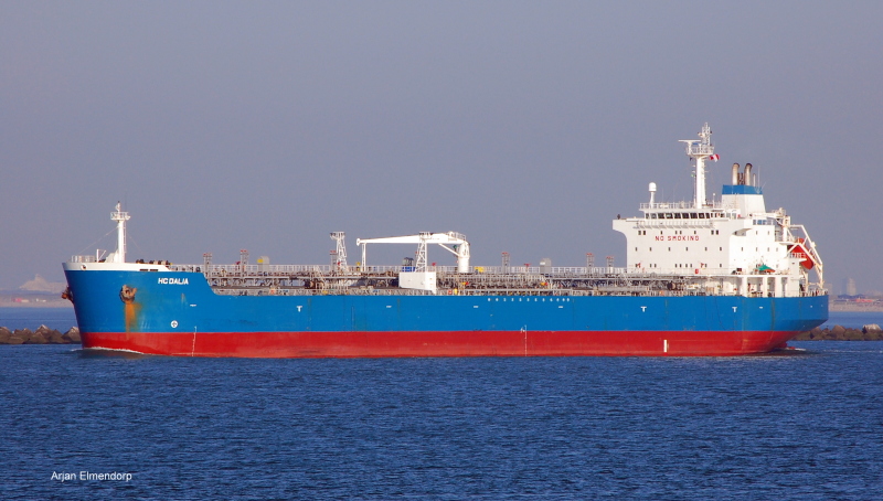 SUCCESS DALIA XLVIII