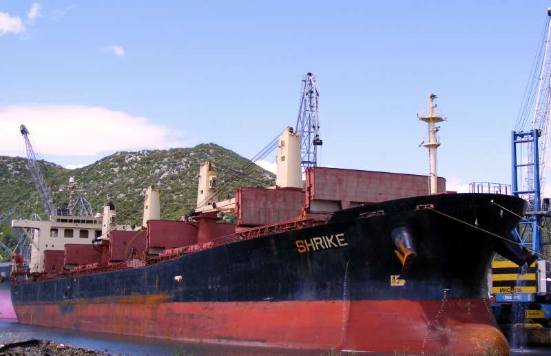 Image of SEA ABIGAIL