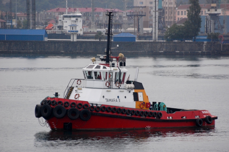TAMARA II