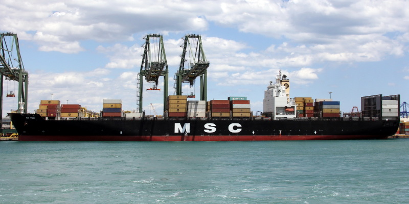 Image of MSC VIDHI