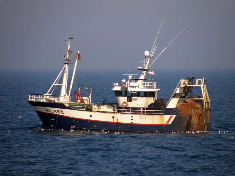 RI468 JULI ANE