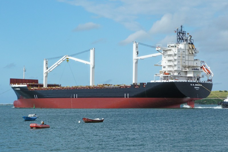 Image of MSC SANDY III