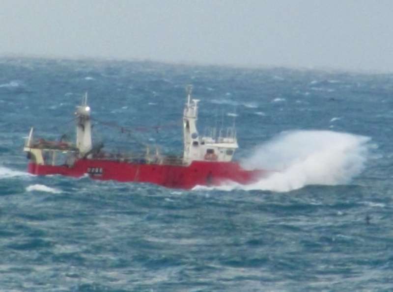 PROMARSA III