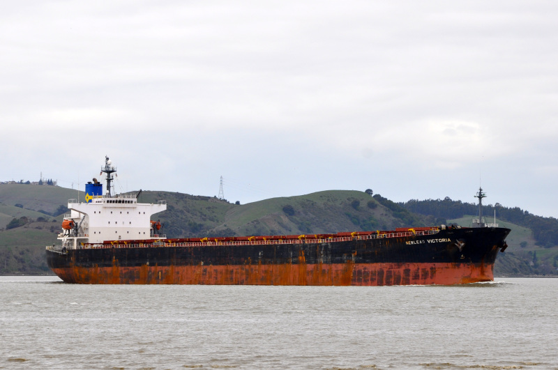 SHUN FU WANG - Dry bulk / Panamax