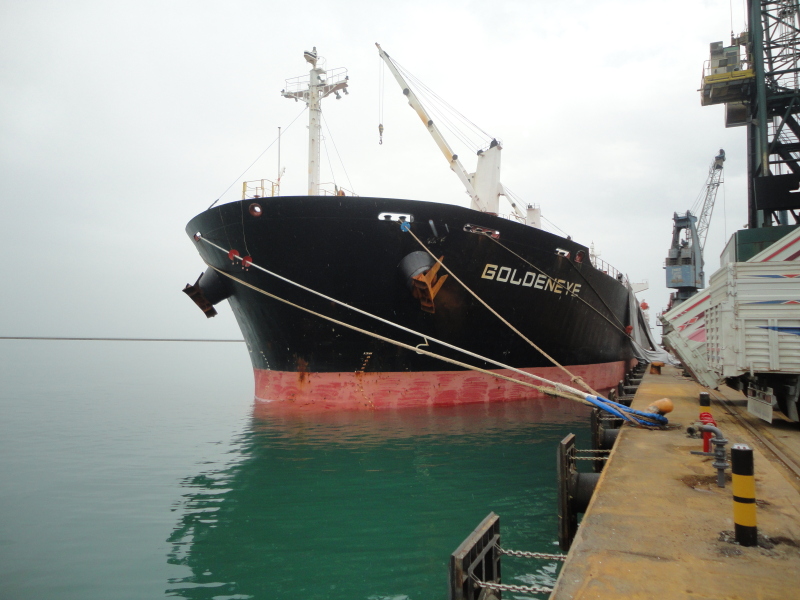 HF QINGDAO