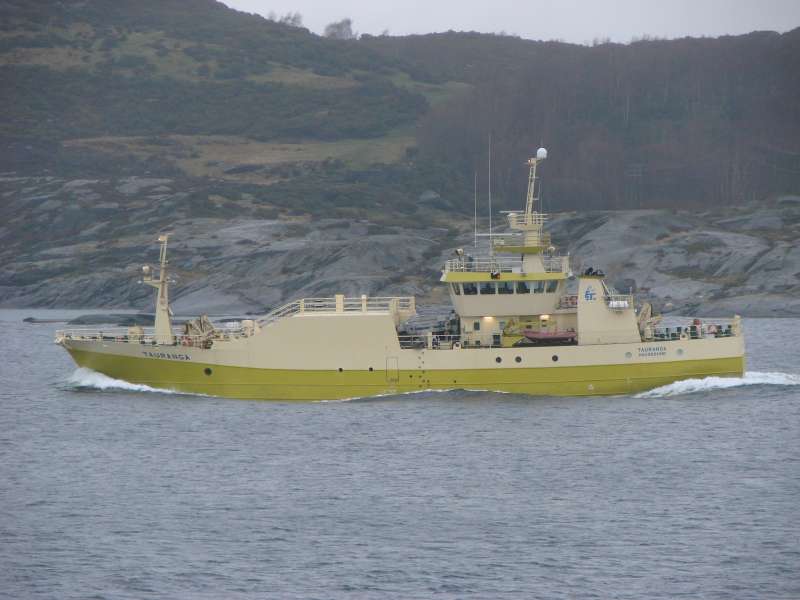 TAURANGA