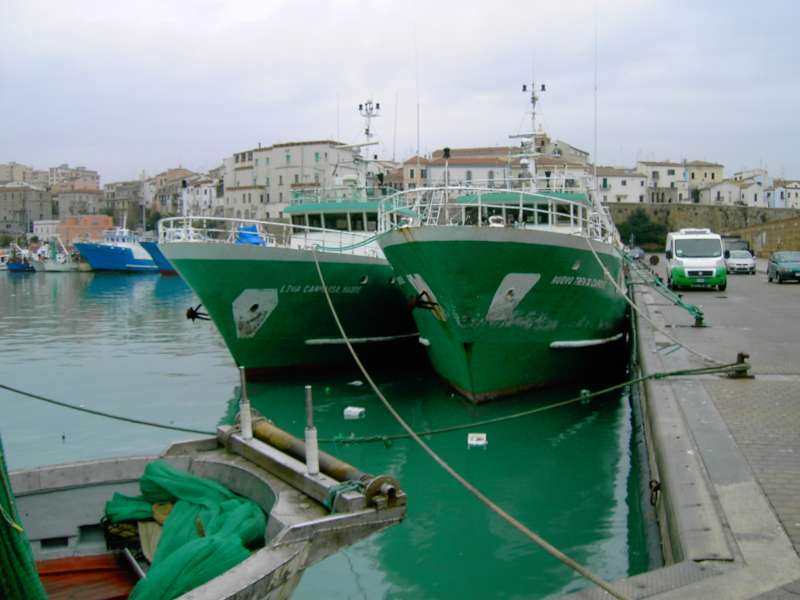 NUOVO TRENTA CARRINI