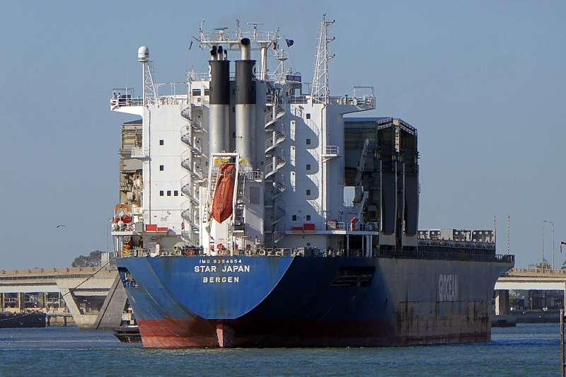 MV STAR JAPAN