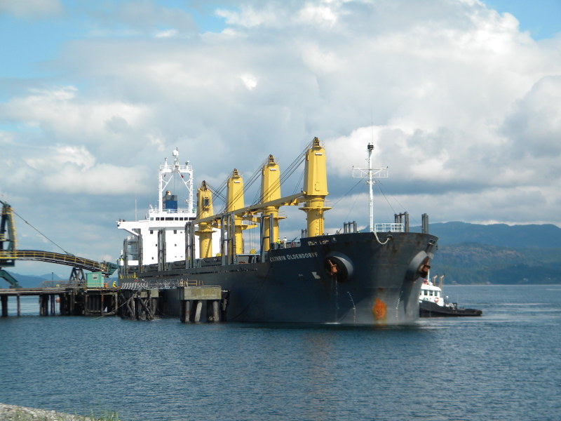 DEMA M