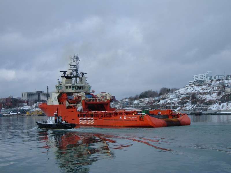 Image of ATLANTIC KINGFISHER