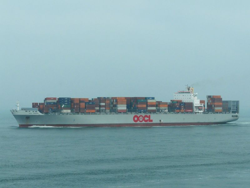 MSC QINGDAO