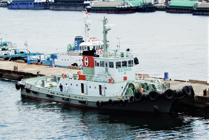 SENHO MARU