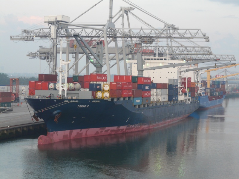 Image of MSC ANCONA III