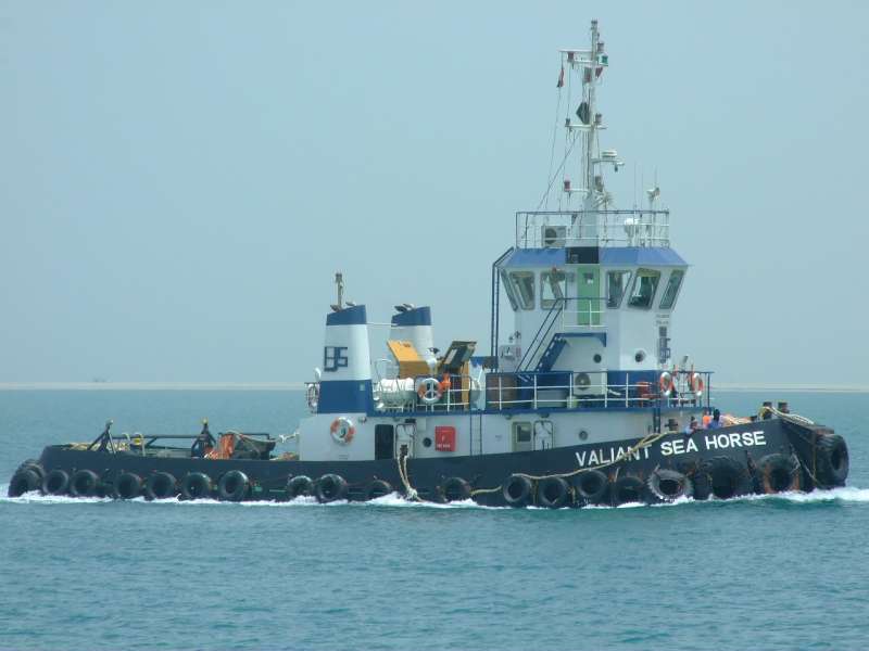 WJT-1202