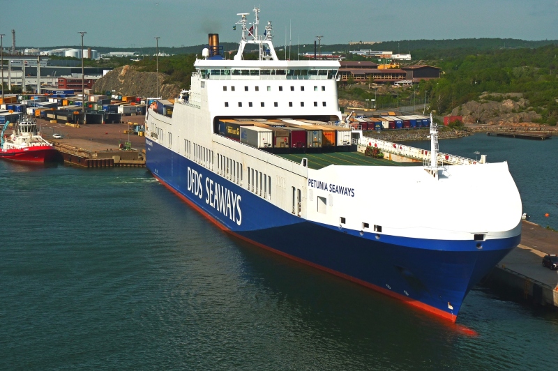 PETUNIA SEAWAYS