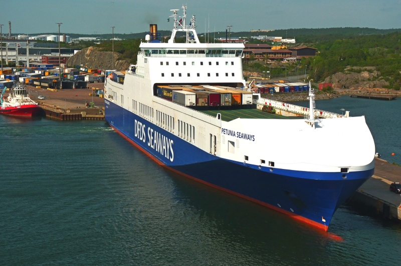 Image of PETUNIA SEAWAYS