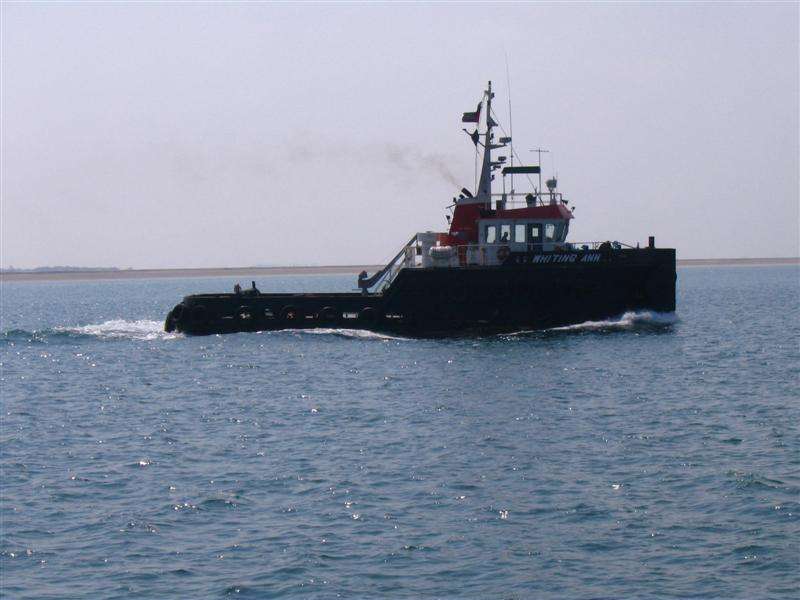WHITING ANN