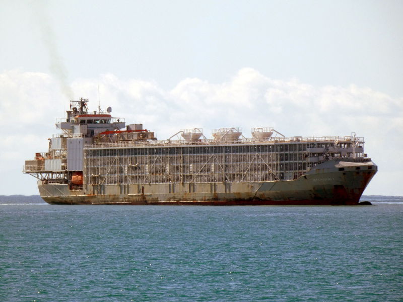 GULF LIVESTOCK 1