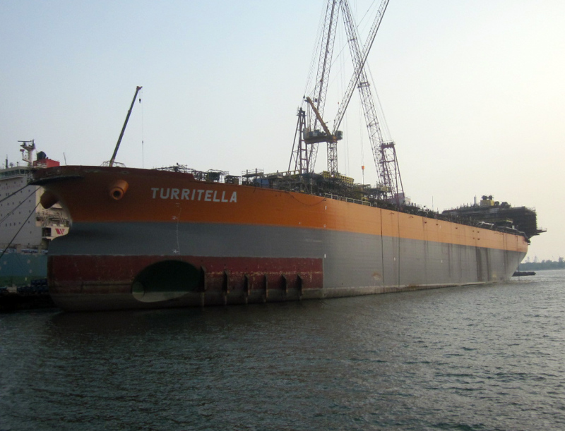 TURRITELLA
