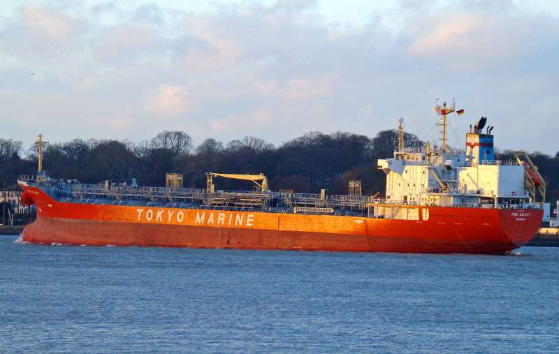 YC AZALEA