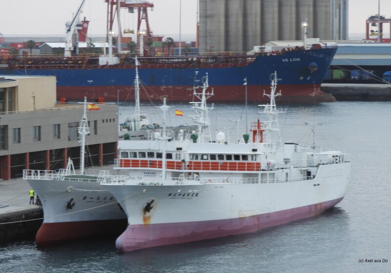 CHOKYU MARU 35