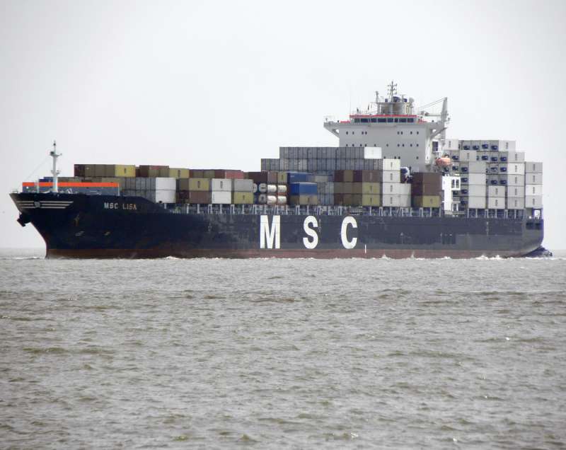 Image of MSC LISA