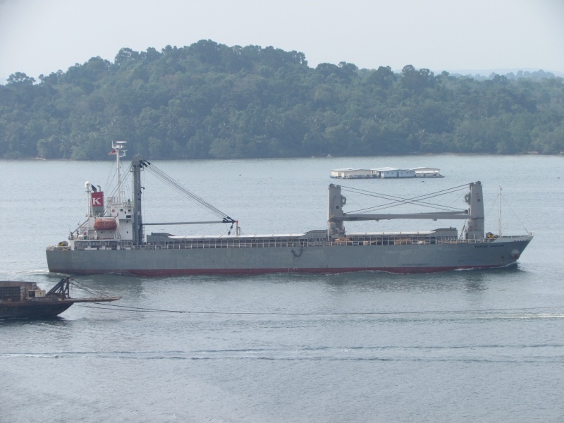 ASIAN KATRA
