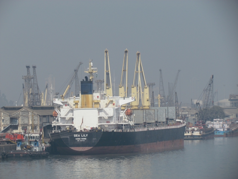 SEA AMELIA