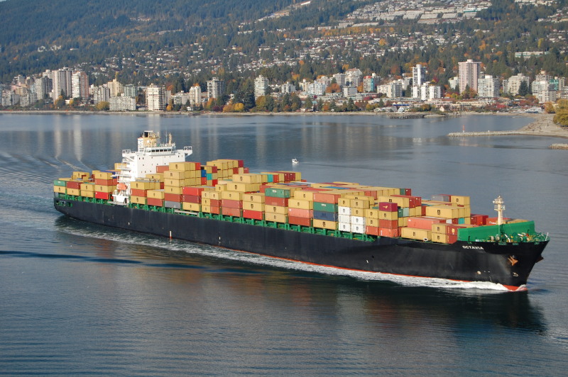 MSC SHINA V