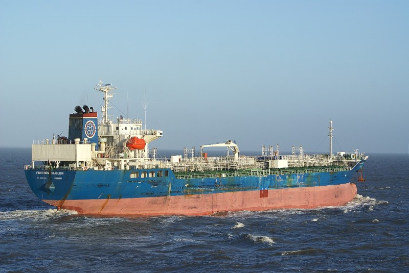 DOLPHIN 19