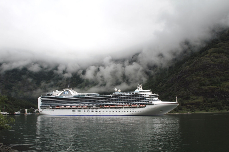 Image of CROWN PRINCESS