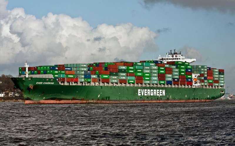 MSC NEW HAVEN