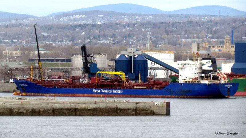 DOLPHIN 08