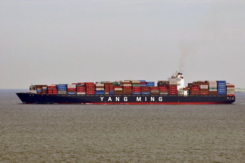 MSC UNITED VIII