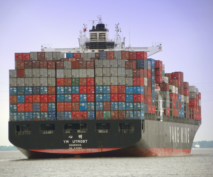 MSC UTMOST VIII