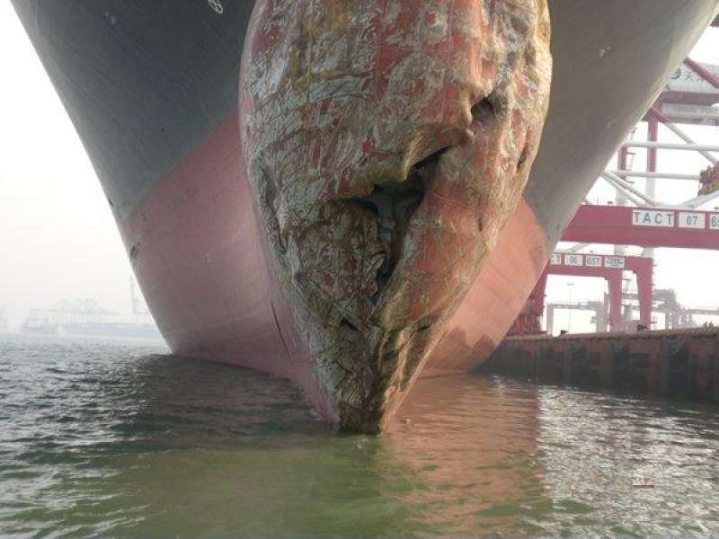 MSC JOANNA