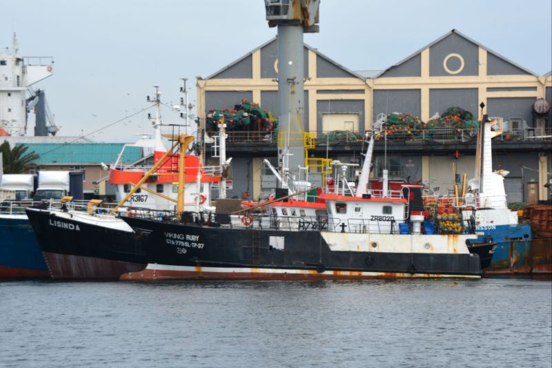 SEAWIN RUBY