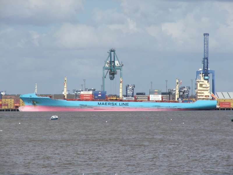 MSC NAISHA III