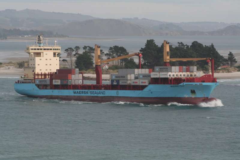 MSC NINA F