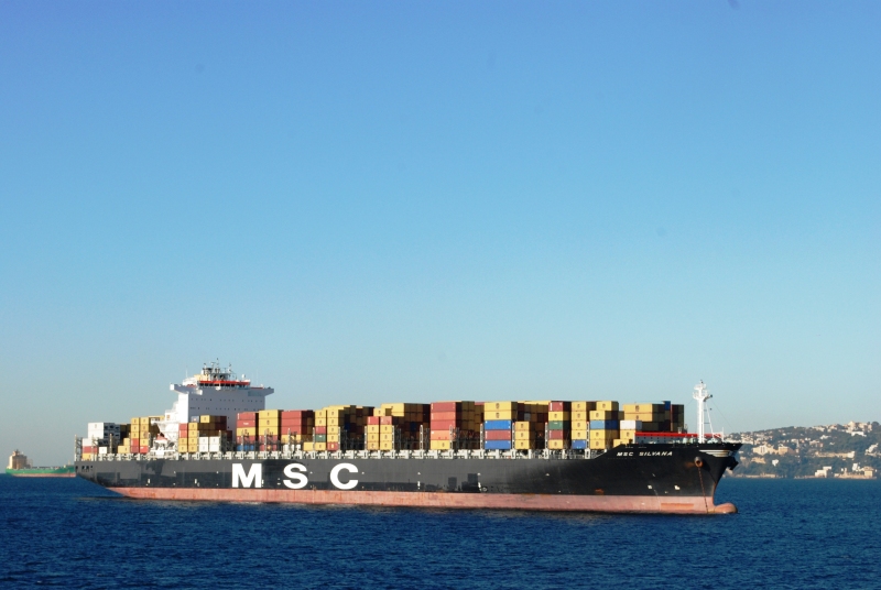 MSC SILVANA VIII