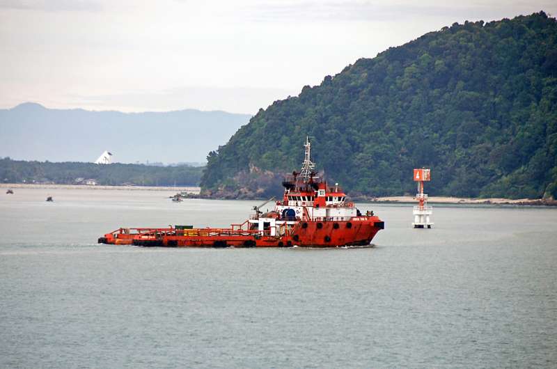 HADASSAH T1