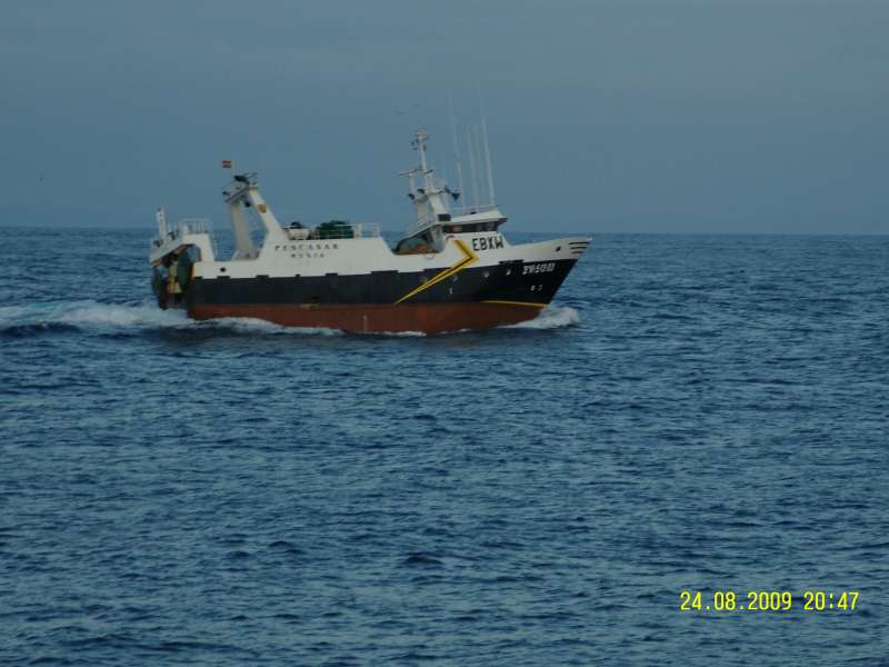 Image of CRUZ DE MALTA