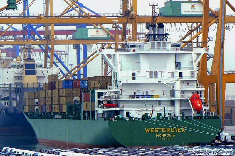 MSC CELINE